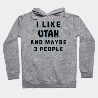 I Like Utah And Maybe 3 People Hoodie